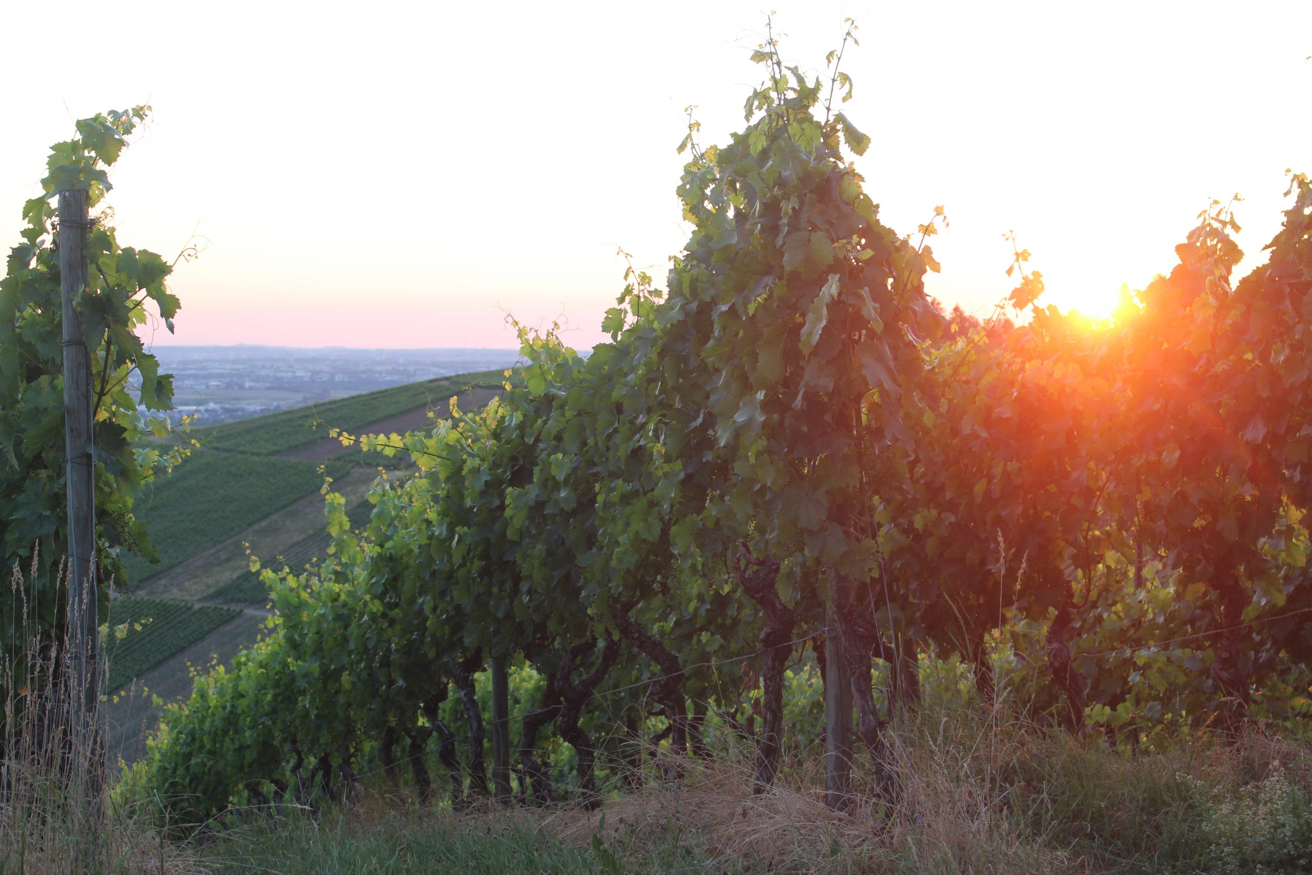 „Von der Blauen Stunde in die Nacht“ – Fotografie für Jugendliche und Erwachsene